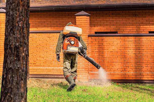 Trusted Ant Control service in West Linn, OR - Nex Pest Control